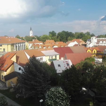 Apartmán-Třeboň-centrum Trebon Exterior foto