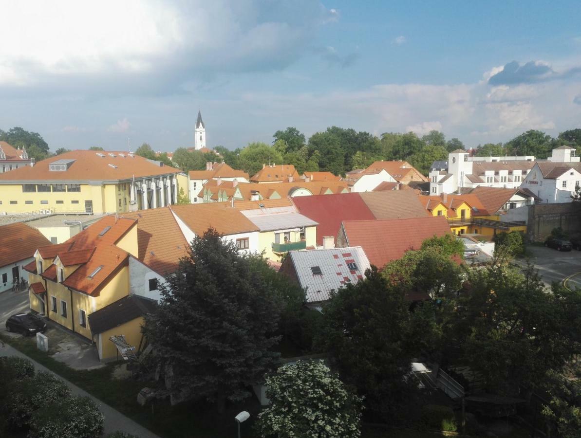 Apartmán-Třeboň-centrum Trebon Exterior foto