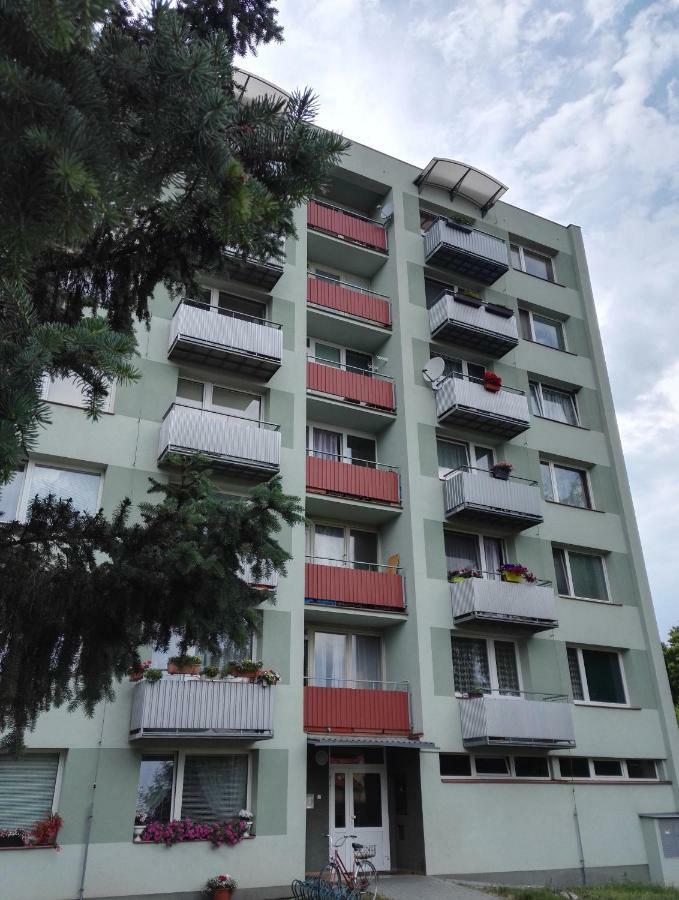 Apartmán-Třeboň-centrum Trebon Exterior foto